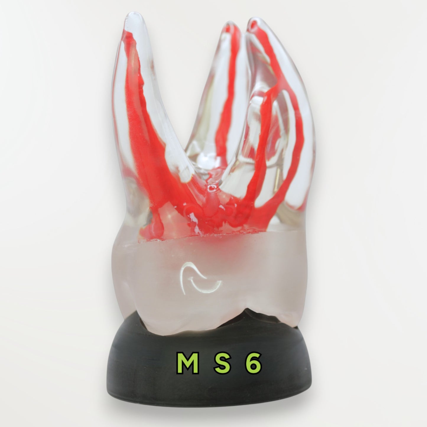 Simulador 16 transparente (M06)