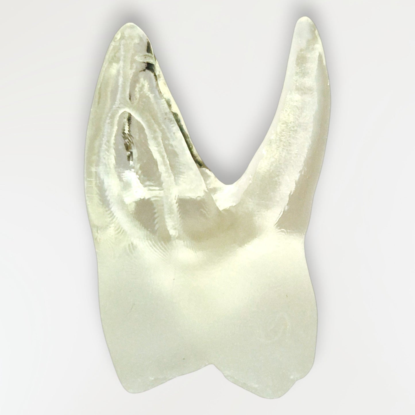 Simulateur avec Instrument fracturé