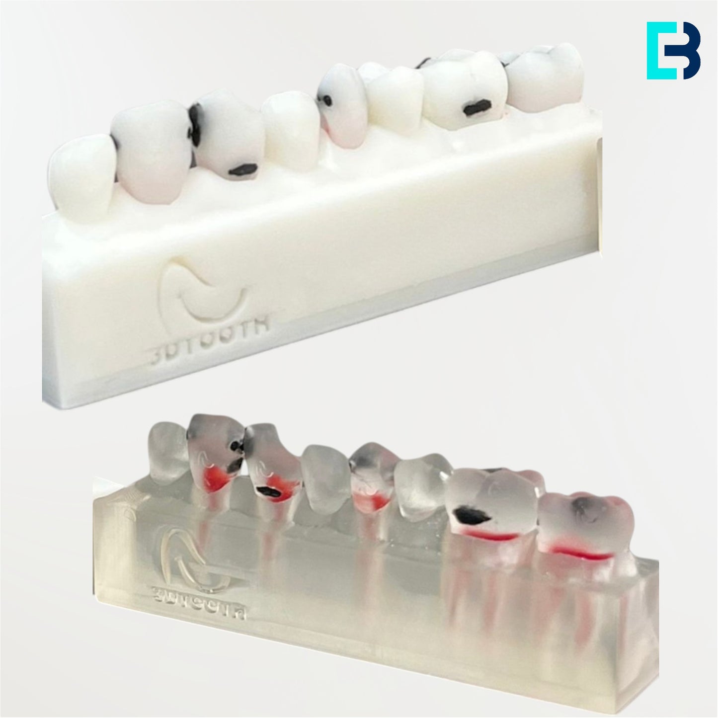 Support avec 7 dents