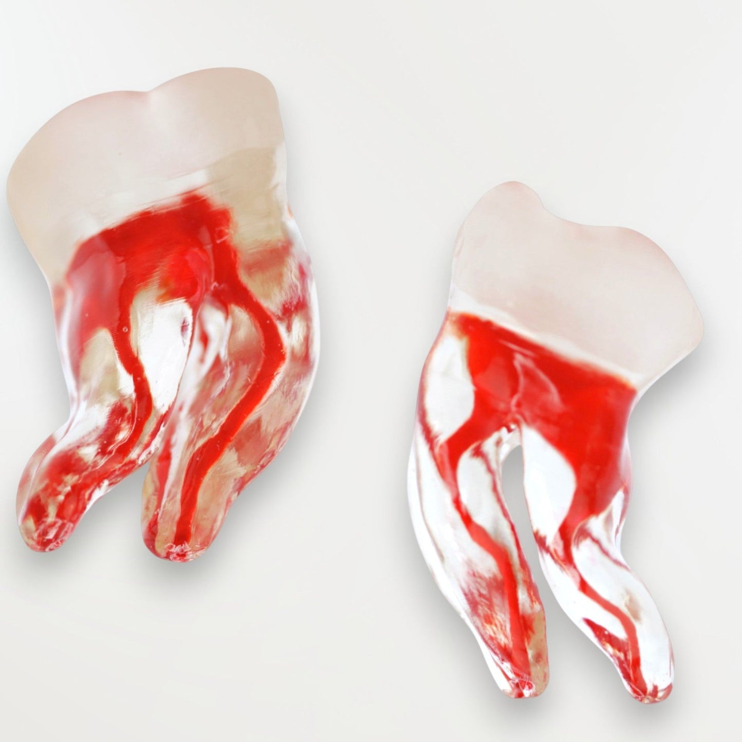 Simulateur 47 anatomie complexe (MI13) (taille x1.3)