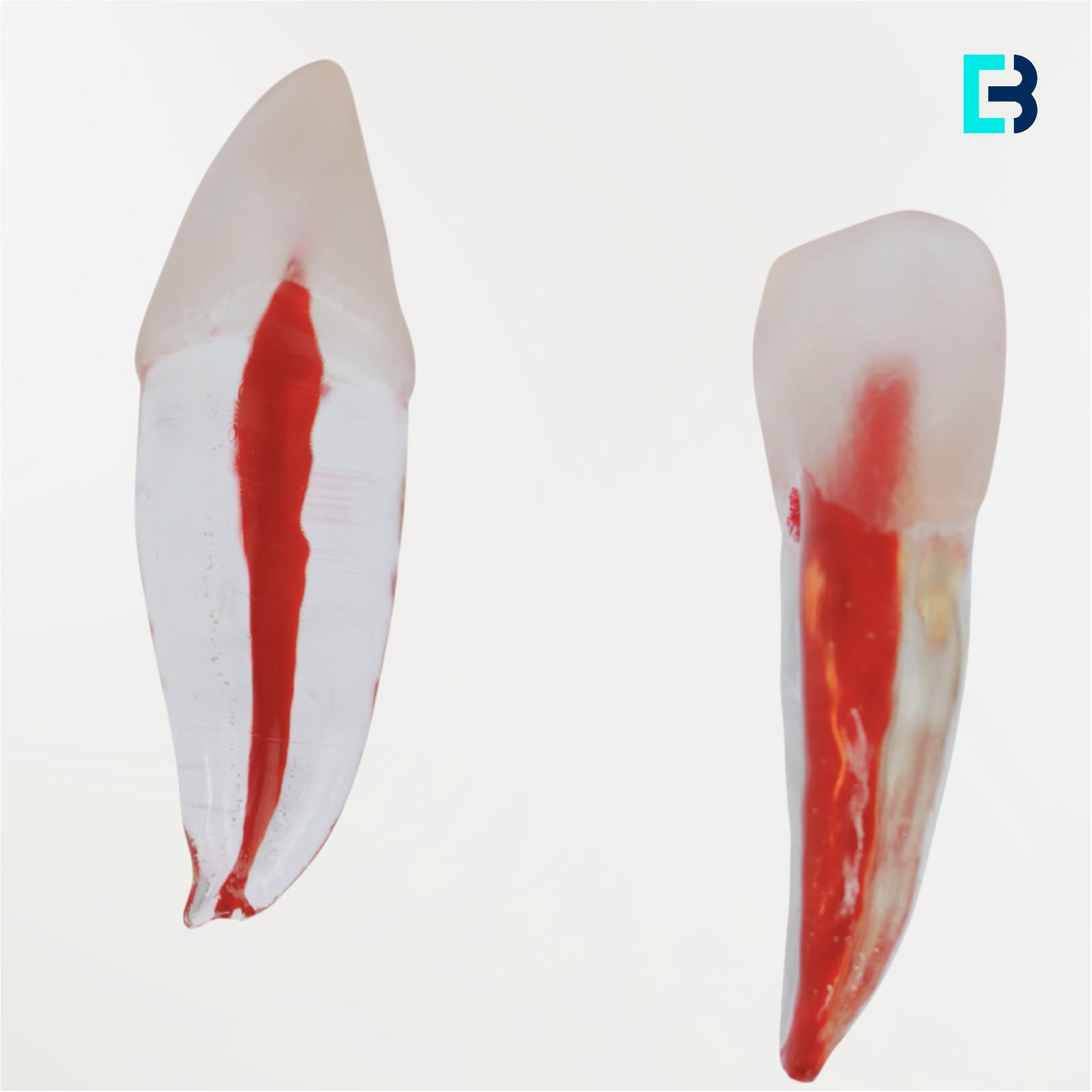 Simulador 16 transparente (M06)