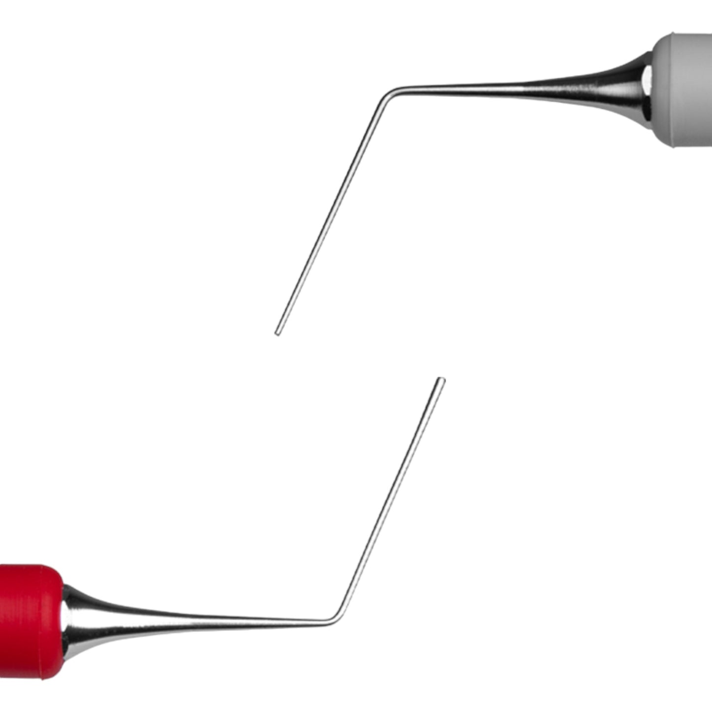 Endoblack Endodontic Treatment Cassette