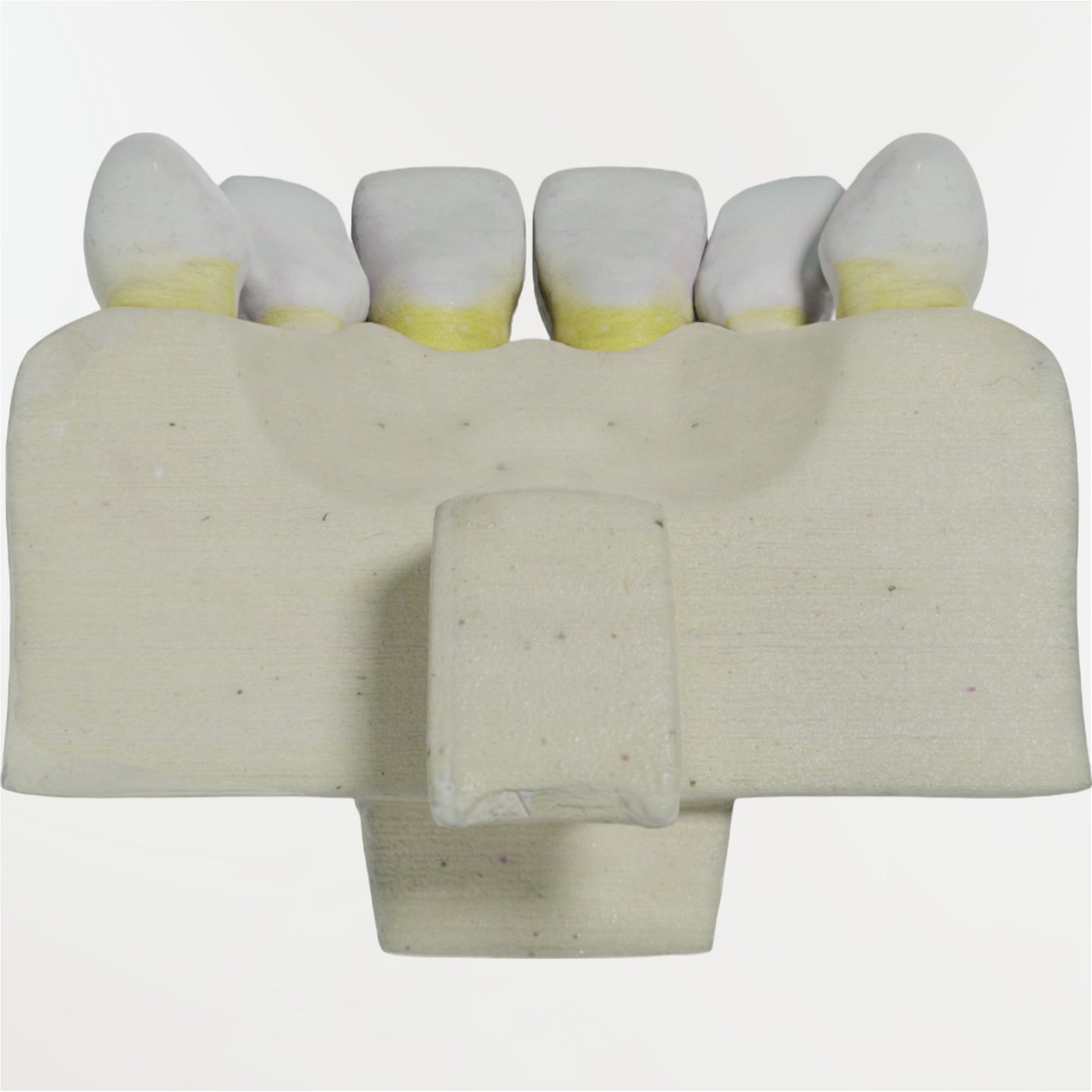 Simulador de cirugía