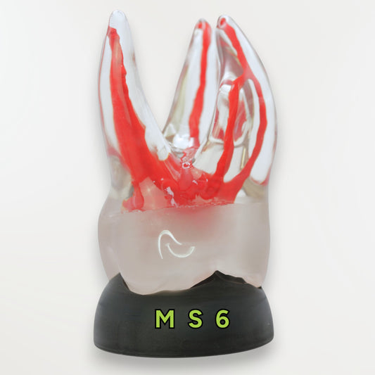 Simulateur 16 transparente (M06)