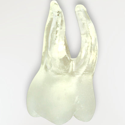 Simulateurs avec Instrument fracturé