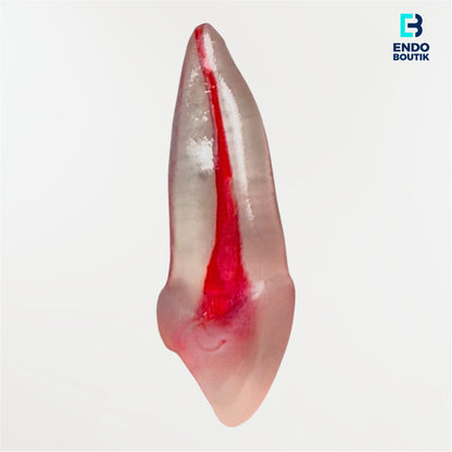 Simulador 16 transparente (M06)