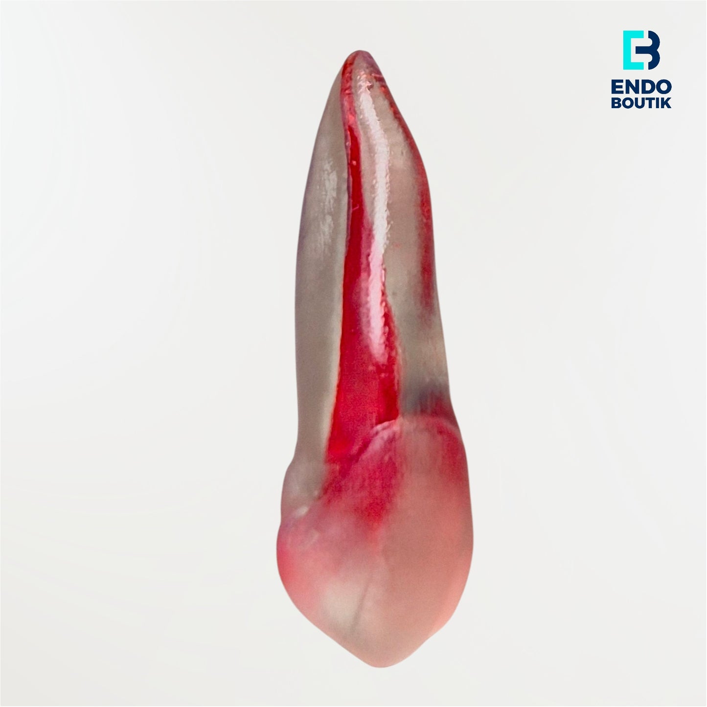 Simulador 16 transparente (M06)