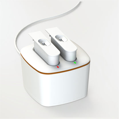Chargeur pour le SAF