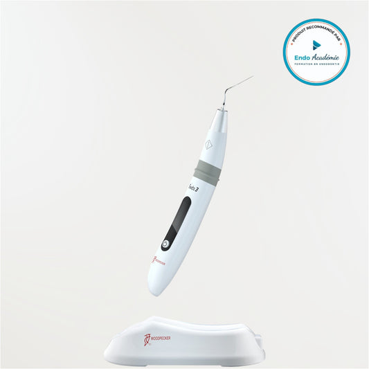 Activateur ultrasonore endodontique Endo3 Woodpecker sans fil avec socle de recharge par induction pour l’activation des solutions d’irrigation