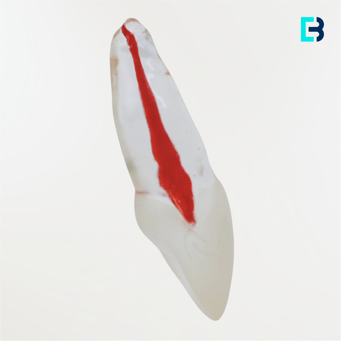 Simulador 16 transparente (M06)