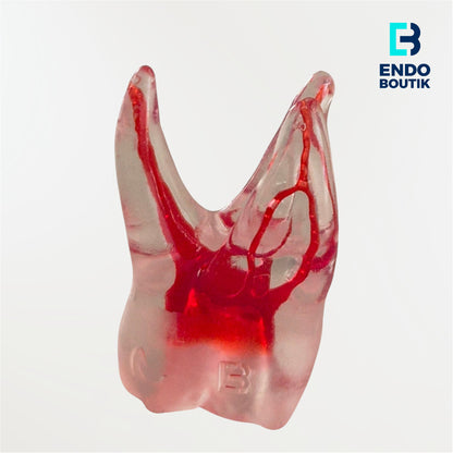 Simulateur 16 transparente (M06)
