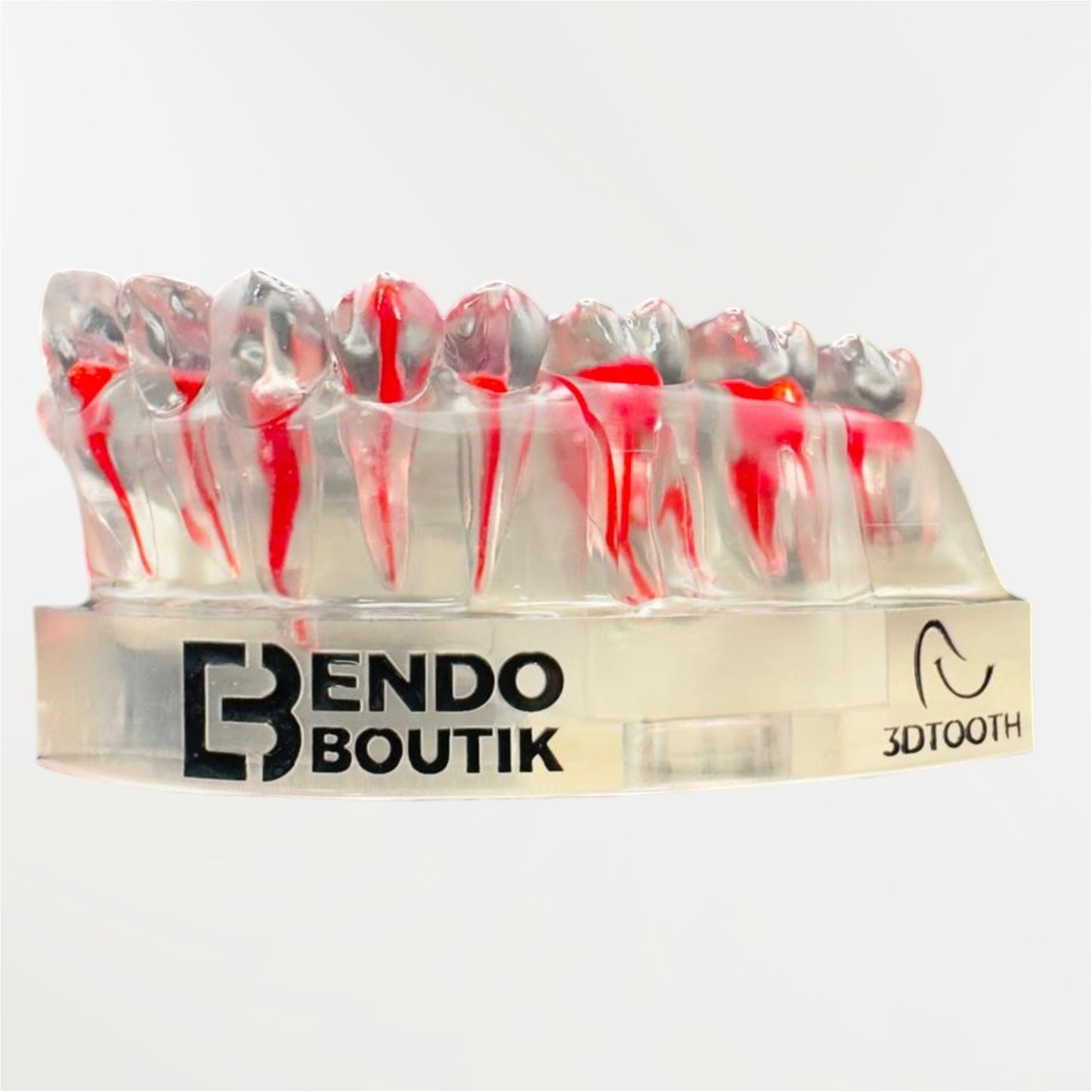 Hémi arcade avec 7 dents.