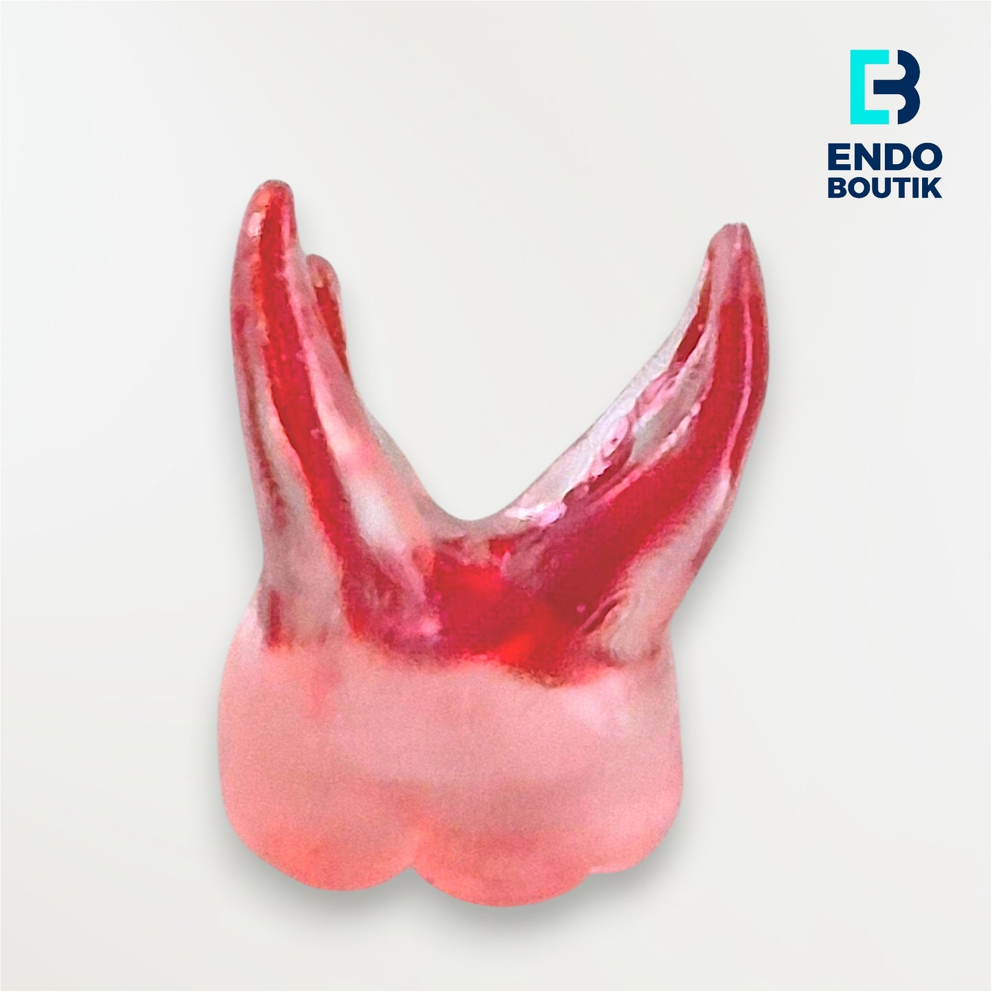 Simulador 16 transparente (M06)