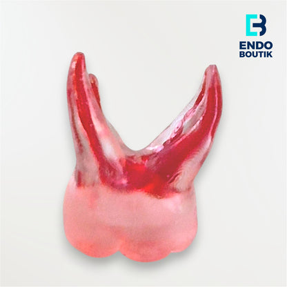 Simulador 16 transparente (M06)