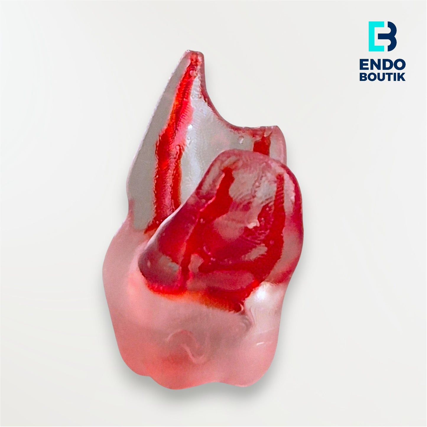 Simulador 16 transparente (M06)