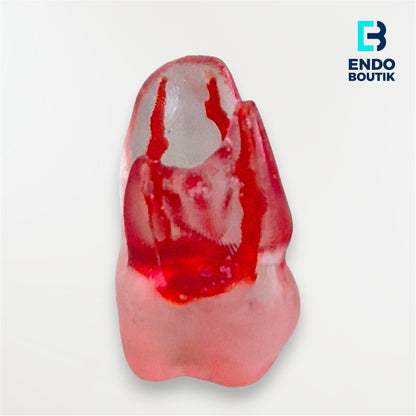 Simulador 16 transparente (M06)